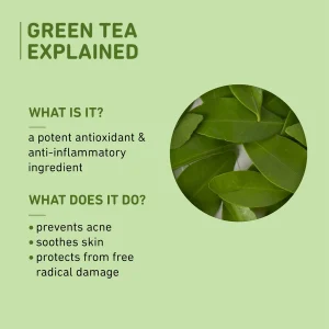 Plum Green Tea Oil-Free Moisturizer
