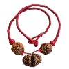 Prem Vridhi Rudraksha Kavach – 6, 7 Mukhi & Gauri Shankar Combo | Certified & Energized | For Love, Harmony & Relationship Growth