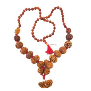Sampurna Rudraksha Kavach Mala | Original Certified | 1 to 14 Mukhi Combo with Gauri Shankar & Ganesh Rudraksha | Energized for Protection, Wealth & Spiritual Growth